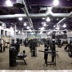 Gold's Gym - Strength training equipment at Gold's Gym Totowa