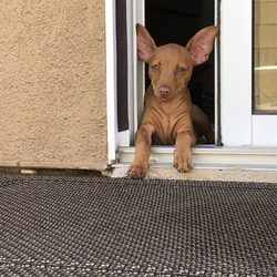 Coachella Valley Plumbing Heating & Air