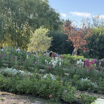 Minto Island Growers - Garden next to eating area - CSA Near Me - Salem, Oregon