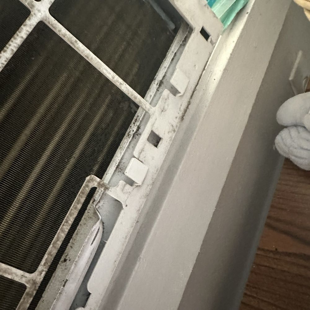 Fat Property - Mold within the framing after being cleaned by maintenance - Apartments Near Me - Houston, Texas Fat Property - Mold within the framing after being cleaned by maintenance - Apartments Near Me - Houston, Texas