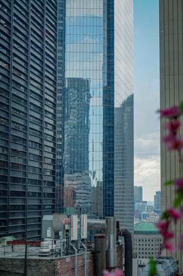 Hide Rooftop by null