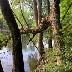 Brandywine Creek & Nature Park