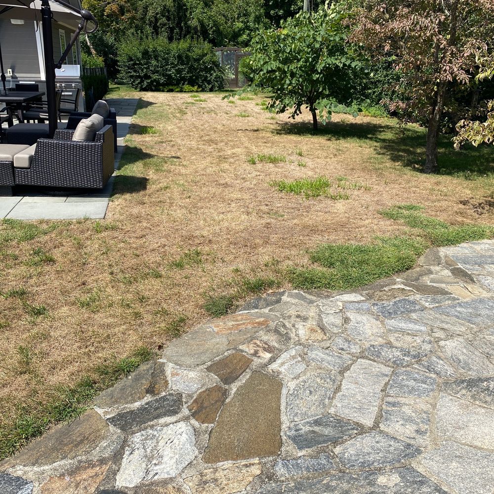 Side yard Side yard