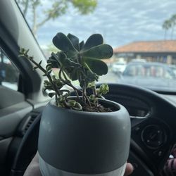 Sunny Family Dental - Welcome gift!