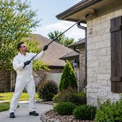 Real Green Pest and Lawn - Spider Control Services