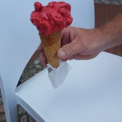 Simonetti Gelati - Raspberry Sorbet
