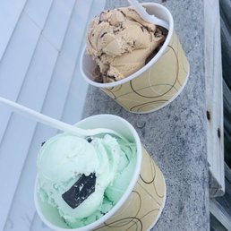 Mint Chocolate Chip