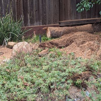 Stump Freaks - No more stump! - Tree Services Near Me Stump Freaks - No more stump! - Tree Services Near Me