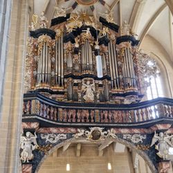 Severikirche - Orgel