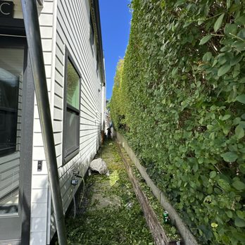 Dieguez Tree Services & Landscaping - Landscaping Near Me - Belfair, Washington Dieguez Tree Services & Landscaping - Landscaping Near Me - Belfair, Washington