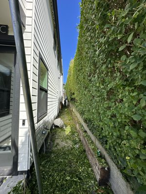 Dieguez Tree Services & Landscaping on Yelp