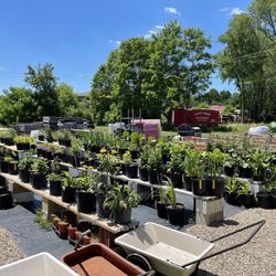 Pennfield Gardens