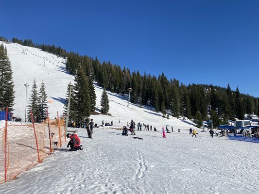 Mt. Shasta Ski Park by null