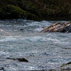 Moulton Falls Regional Park - Looking downriver