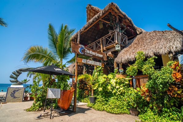 The Blue Shrimp Puerto Vallarta by null