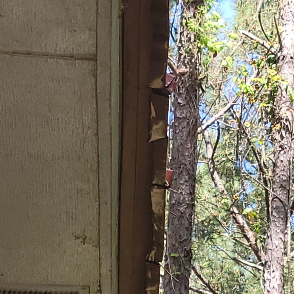 Slide of Mighty Dog Roofing