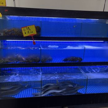 Won Won Market - Live eels - Seafood Markets Near Me - Oklahoma City, Oklahoma Won Won Market - Live eels - Seafood Markets Near Me - Oklahoma City, Oklahoma