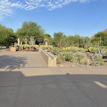 Desert Botanical Garden - Botanical Gardens Near Me - Phoenix, Arizona
