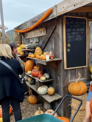 Earthbound Farm Stand by null