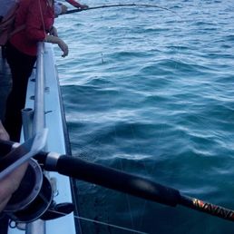 Untangling the lines took up most of the time we could've been reeling in fish if the boat wasn't so crammed Untangling the lines took up most of the time we could've been reeling in fish if the boat wasn't so crammed