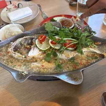 Kalaya - pla nung manao (branzino) - Thai Near Me - Philadelphia, Pennsylvania Kalaya - pla nung manao (branzino) - Thai Near Me - Philadelphia, Pennsylvania