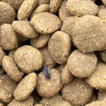 Petco - Bugs in new bag of dog food from petco at 4801 McKnight road - Pet Stores Near Me - Pittsburgh, Pennsylvania Petco - Bugs in new bag of dog food from petco at 4801 McKnight road - Pet Stores Near Me - Pittsburgh, Pennsylvania