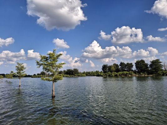 Shelby Farms Park by null