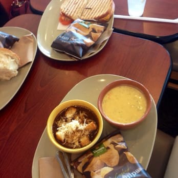 Panera Bread - French onion soup, cheddar broccoli soup & chipotle chicken panini - Sandwiches Near Me - Tampa, Florida
