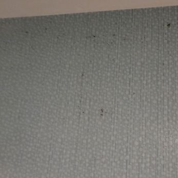 Hyatt Place Uc Davis - more mold anyone? - Hotels Near Me - Davis, California