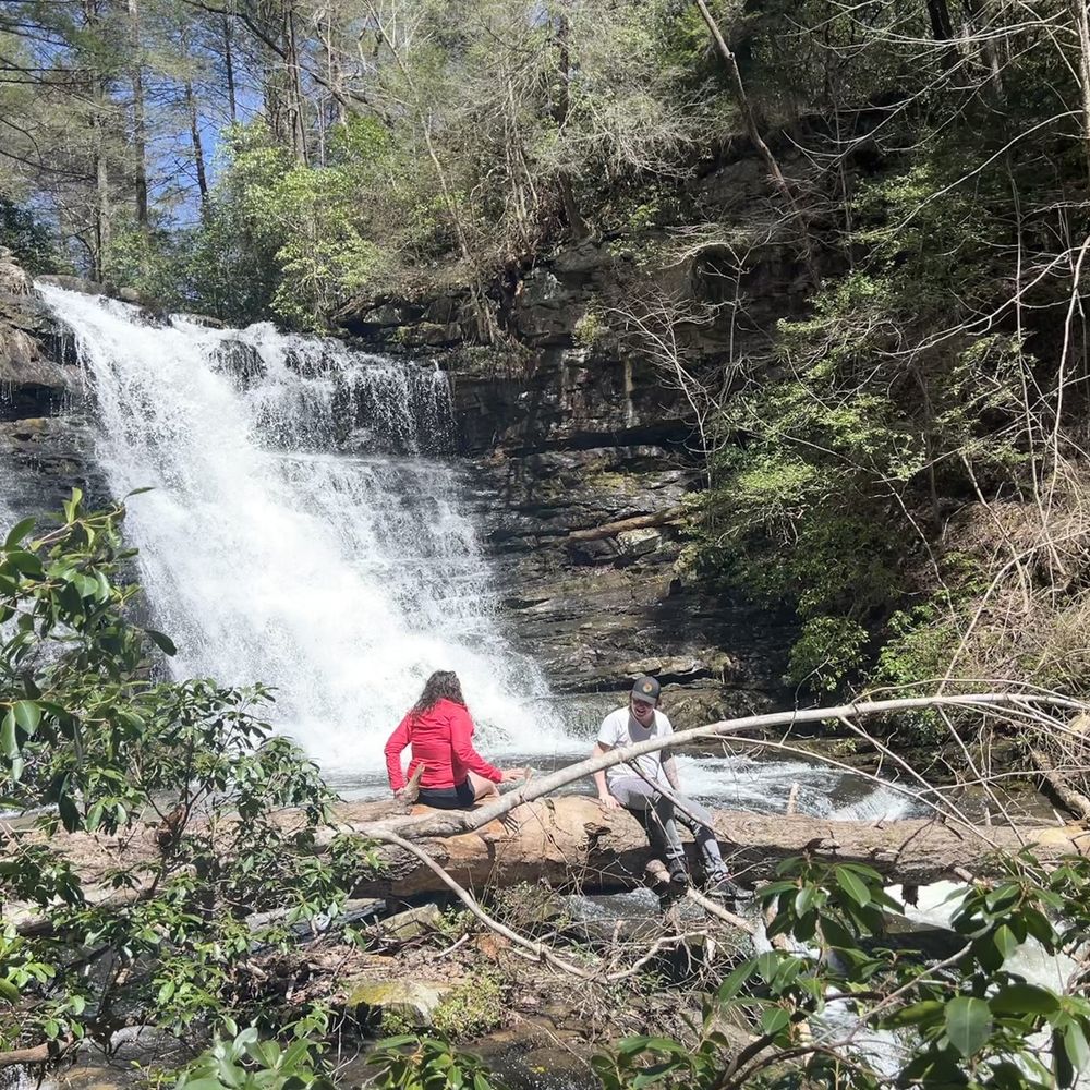BoardTree Falls - Tree - Parks Near Me