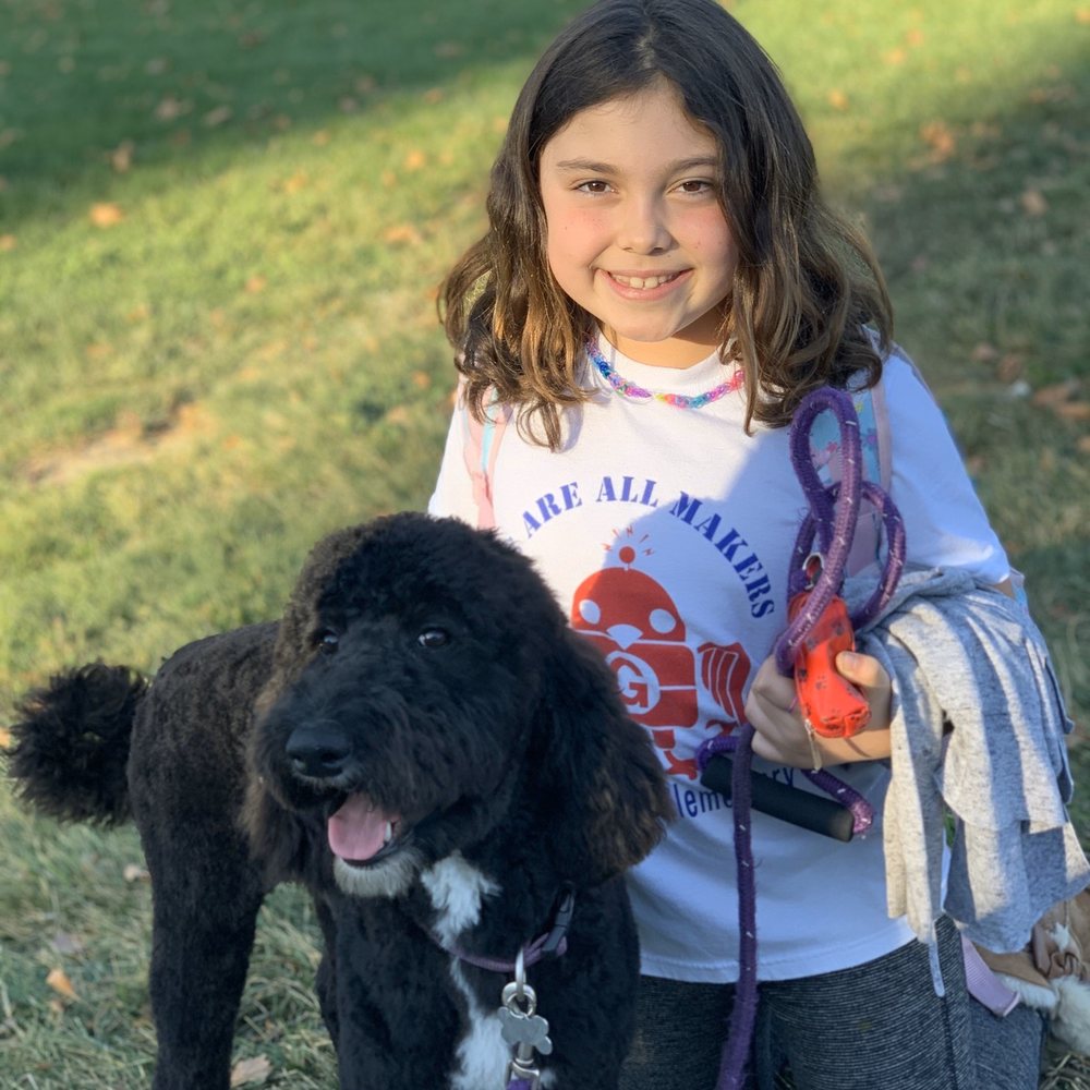Pawsitive Interaction Dog Obedience - Coco's first day with her furever home! - Pet Training Near Me - Pleasanton, California Pawsitive Interaction Dog Obedience - Coco's first day with her furever home! - Pet Training Near Me - Pleasanton, California