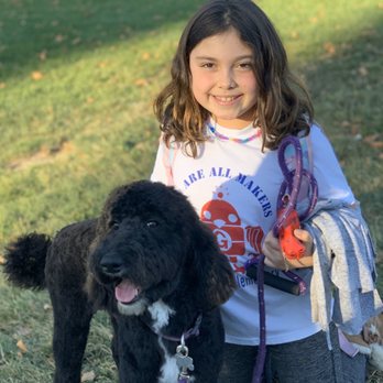 Pawsitive Interaction Dog Obedience - Coco's first day with her furever home! - Pet Training Near Me - Pleasanton, California