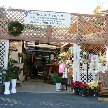 Leucadia Floral and Plant - Nurseries & Gardening Near Me - Encinitas, California
