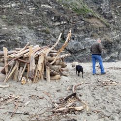 Cooks Beach