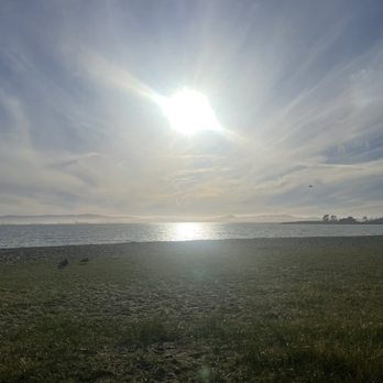 Crown Memorial State Beach - Sun Was Shining - Parks Near Me - Alameda, California