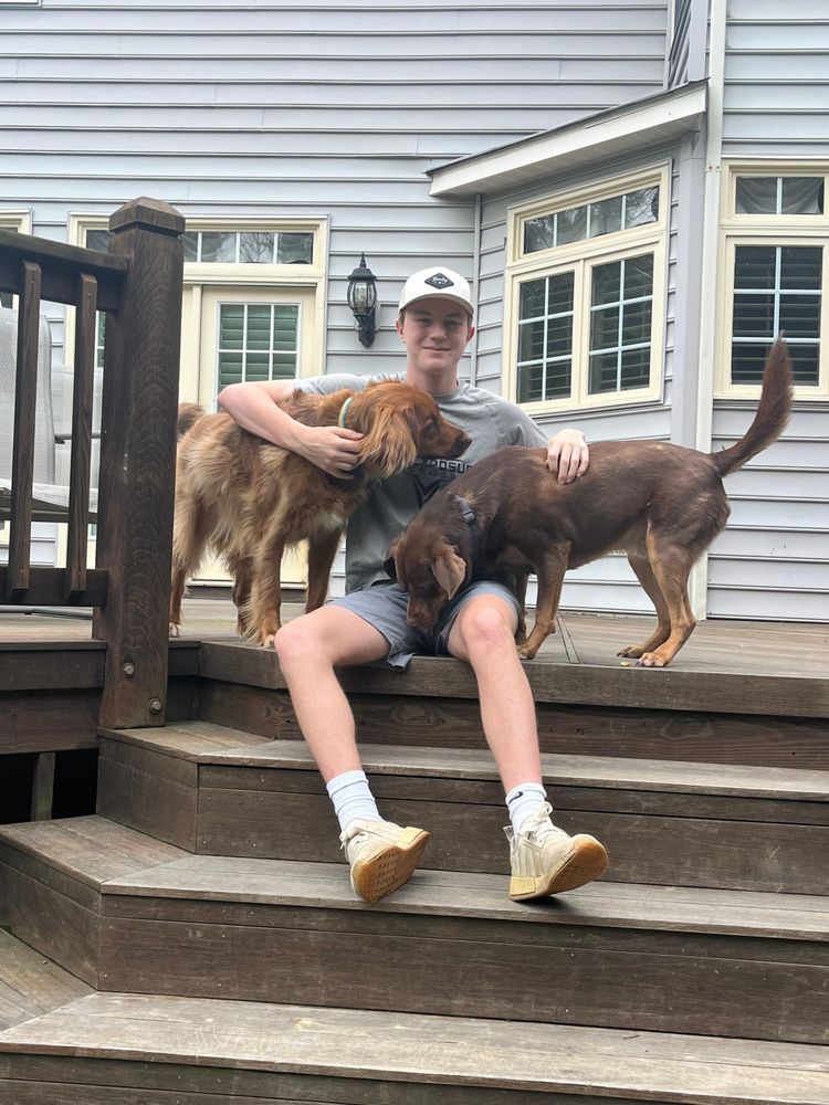 Zoomie Walks - pet boarding facility in Rockville, MD