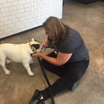Paw Commons Pet Resort - Gilbert - Sarah is so nice to my dog, and Otis clearly loves her. - Pet Sitting Near Me - Gilbert, Arizona Paw Commons Pet Resort - Gilbert - Sarah is so nice to my dog, and Otis clearly loves her. - Pet Sitting Near Me - Gilbert, Arizona