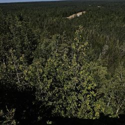 Castle Rock - The view to the left of castle rock