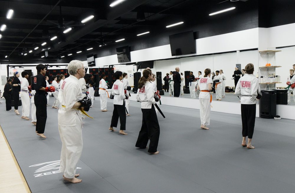 Team Martial Arts Logo