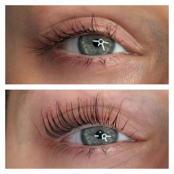 The Lash Shrink - Eyelash Service Near Me - Lake Bluff, Illinois The Lash Shrink - Eyelash Service Near Me - Lake Bluff, Illinois