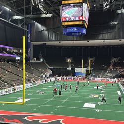 Jacksonville Sharks