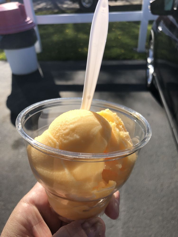 DAIRYLAND Updated April 2024 26 Photos & 16 Reviews 664 Hwy 20