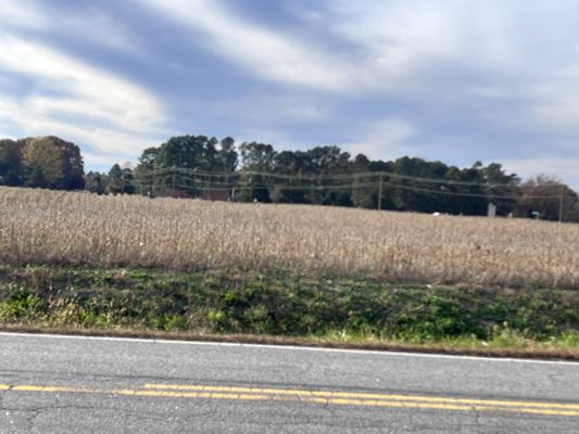 Cold Harbor Battlefield Visitor Center by null