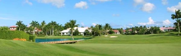 Crest Management Group