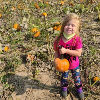 Busy Barns Adventure Farm - Pumpkin patch - Attraction Farms Near Me - Fort Atkinson, Wisconsin Busy Barns Adventure Farm - Pumpkin patch - Attraction Farms Near Me - Fort Atkinson, Wisconsin