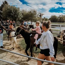 Basse's Taste of Country Farmers Market - Pony rides