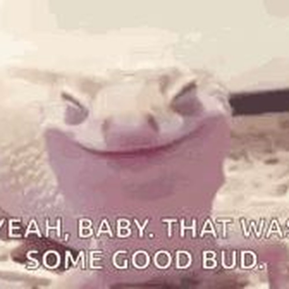 THE BEST 10 VAPE SHOPS in BAKER COUNTY, FL - Updated 2026 - Hours - Yelp, image size:1000x1000