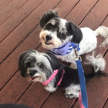 Hangar One Cafe - Patio allows dogs - Diners Near Me - Hemet, California Hangar One Cafe - Patio allows dogs - Diners Near Me - Hemet, California