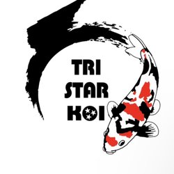 Tri-Star Koi