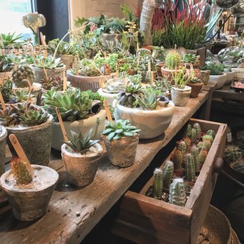 Seed To Stem - Antiques Near Me - Worcester, Massachusetts